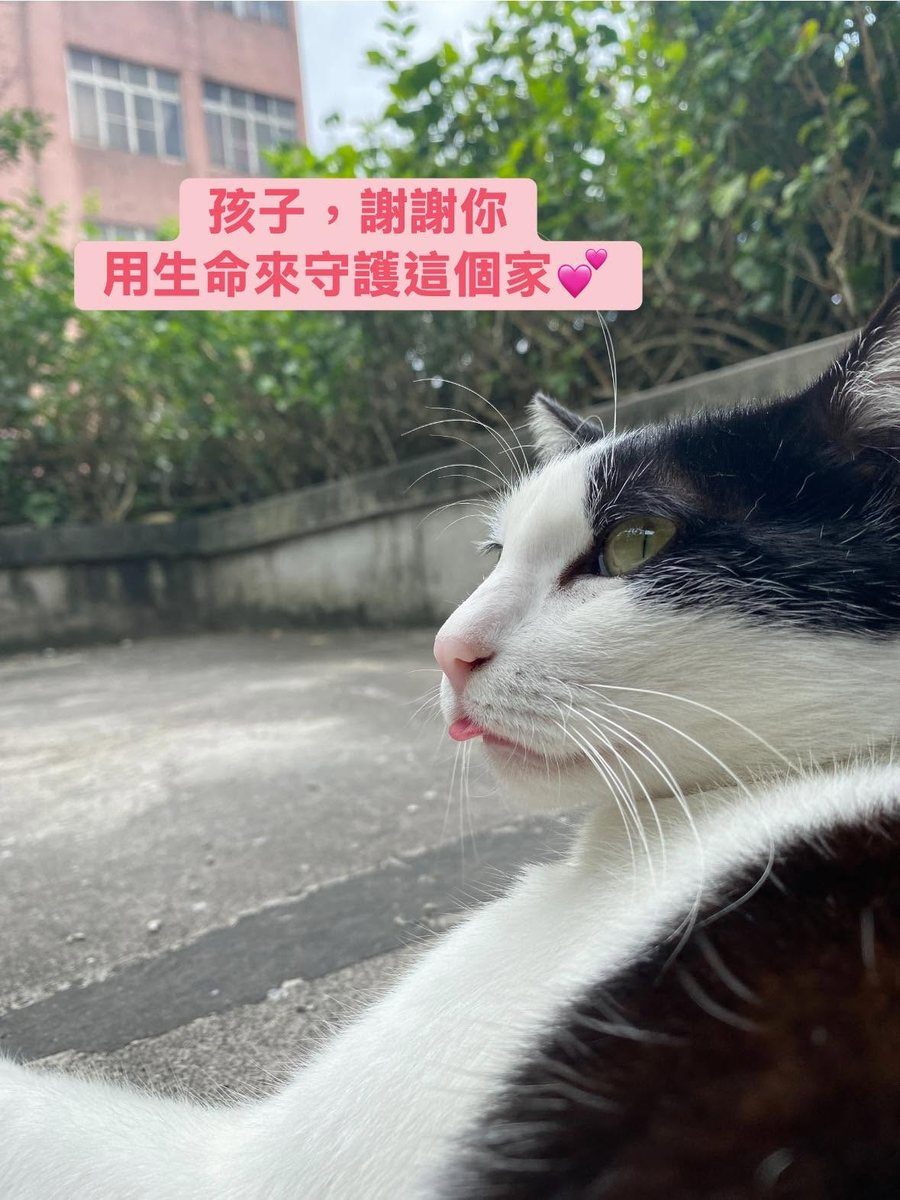 「孩子，謝謝你，用生命來守護這個家」